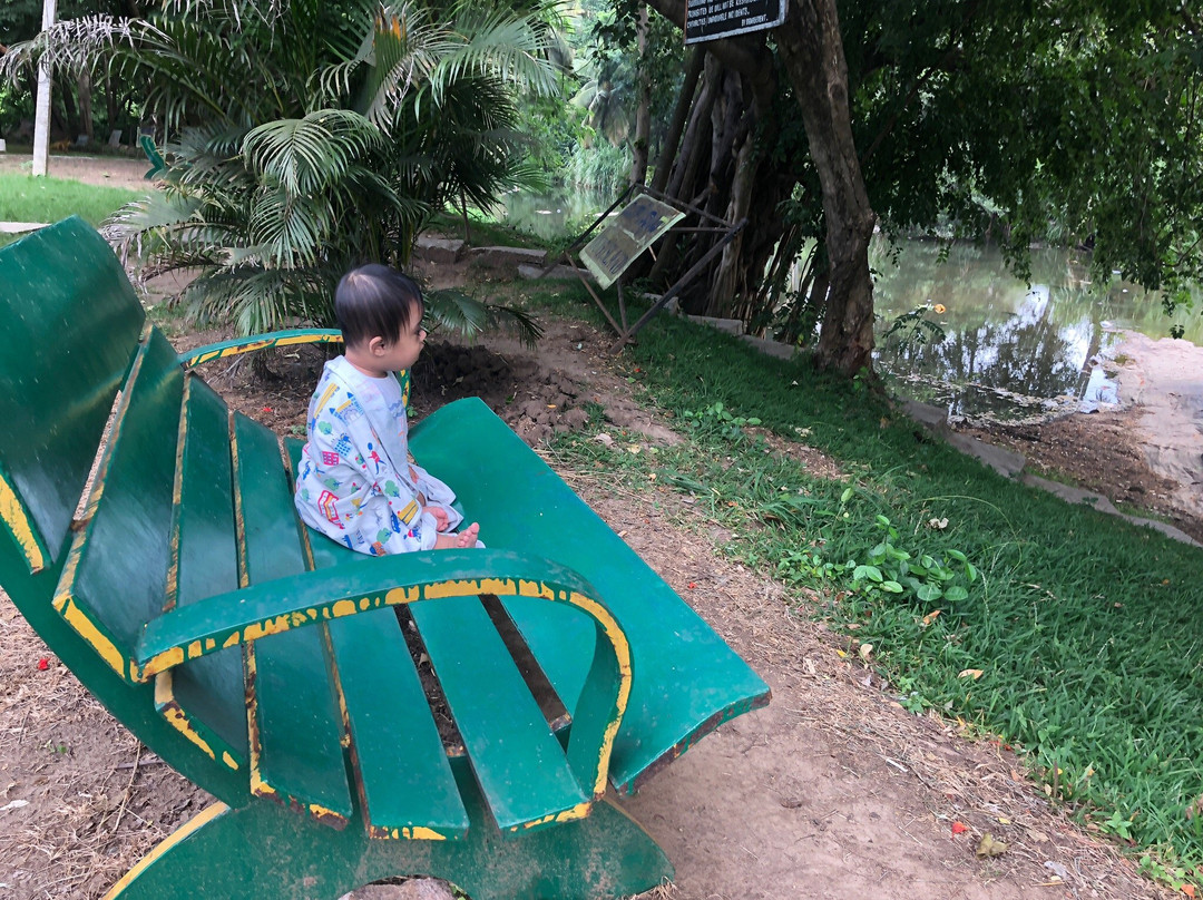 Young Island Resorts主图
