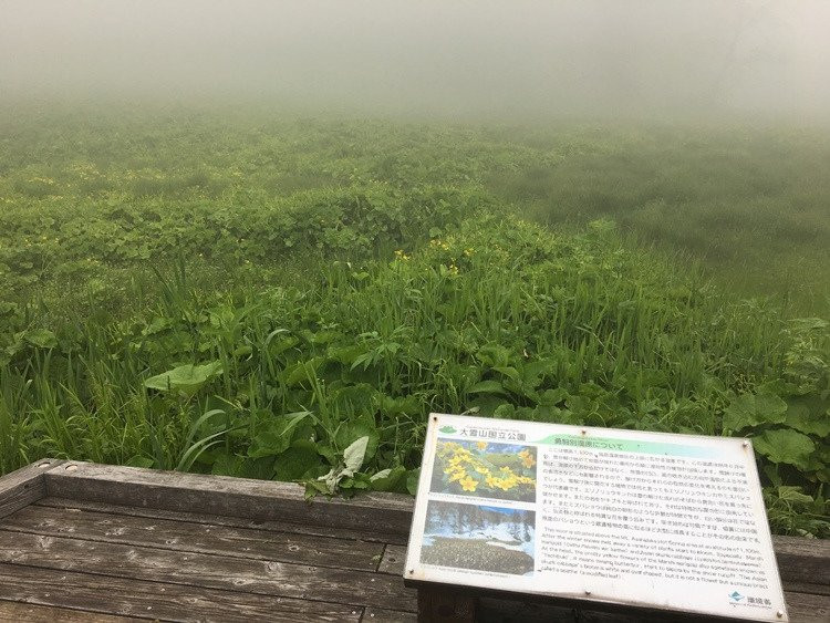 Yukomanbetsu Swamp-东川町必去景点