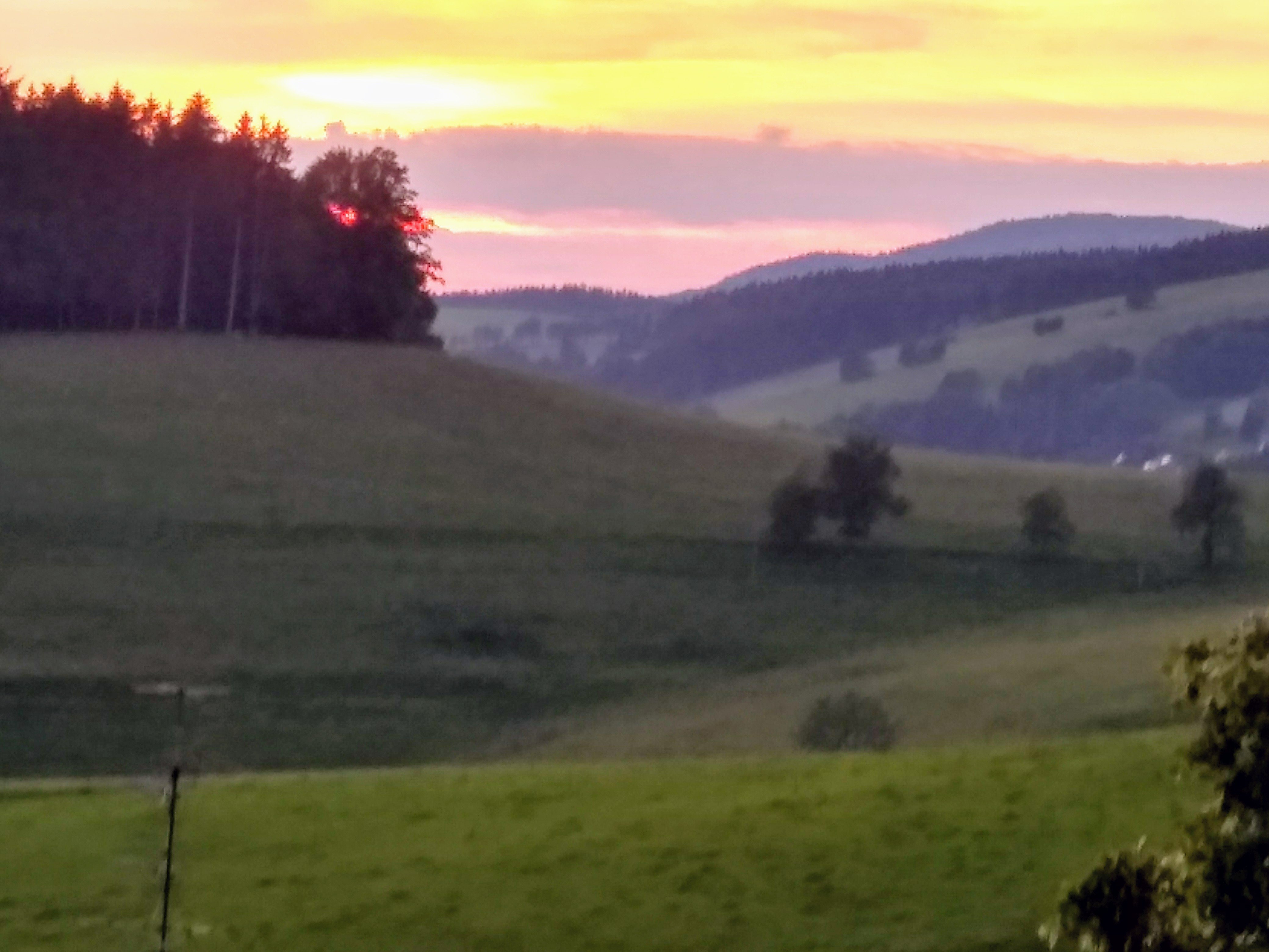 Hotel Lowen-酒店景观