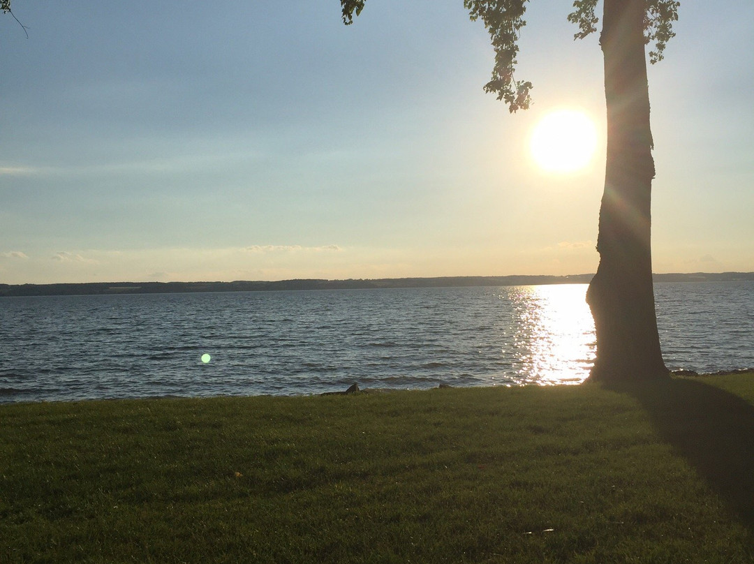 Wallcourt Hall主图