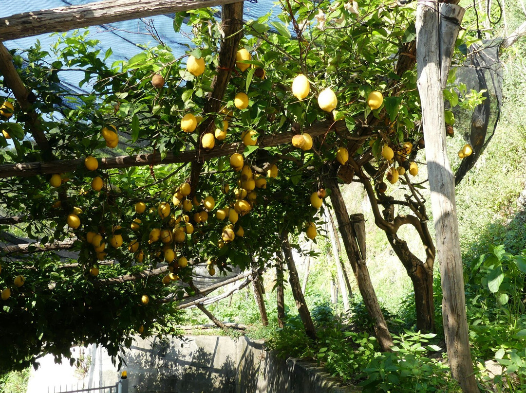 Tenuta Fuenti B&b主图