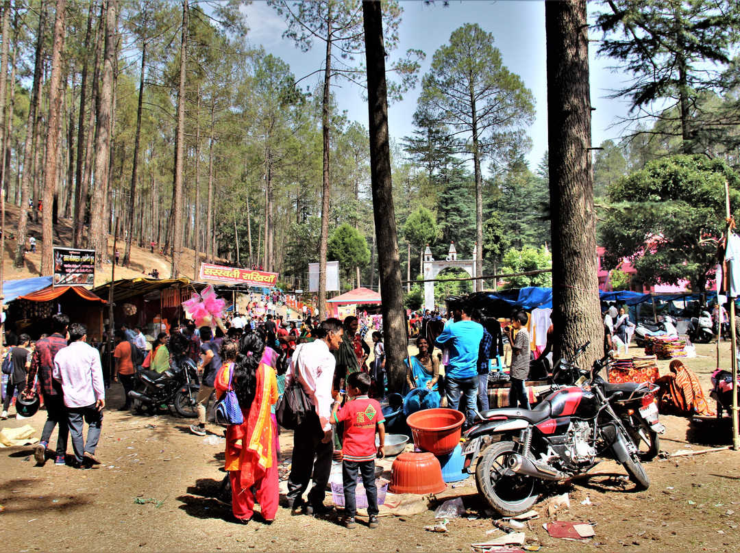 Swargashram Binsar Mahadev Mandir景点图片