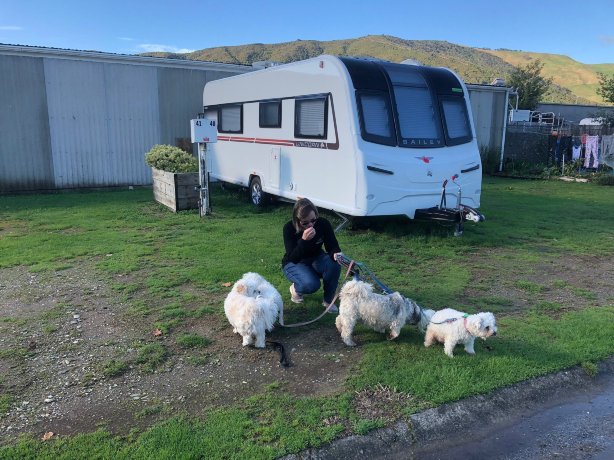 Havelock Holiday Park-浴室