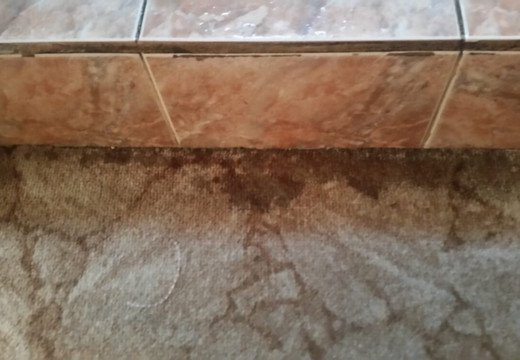 保加利亚酒店主图