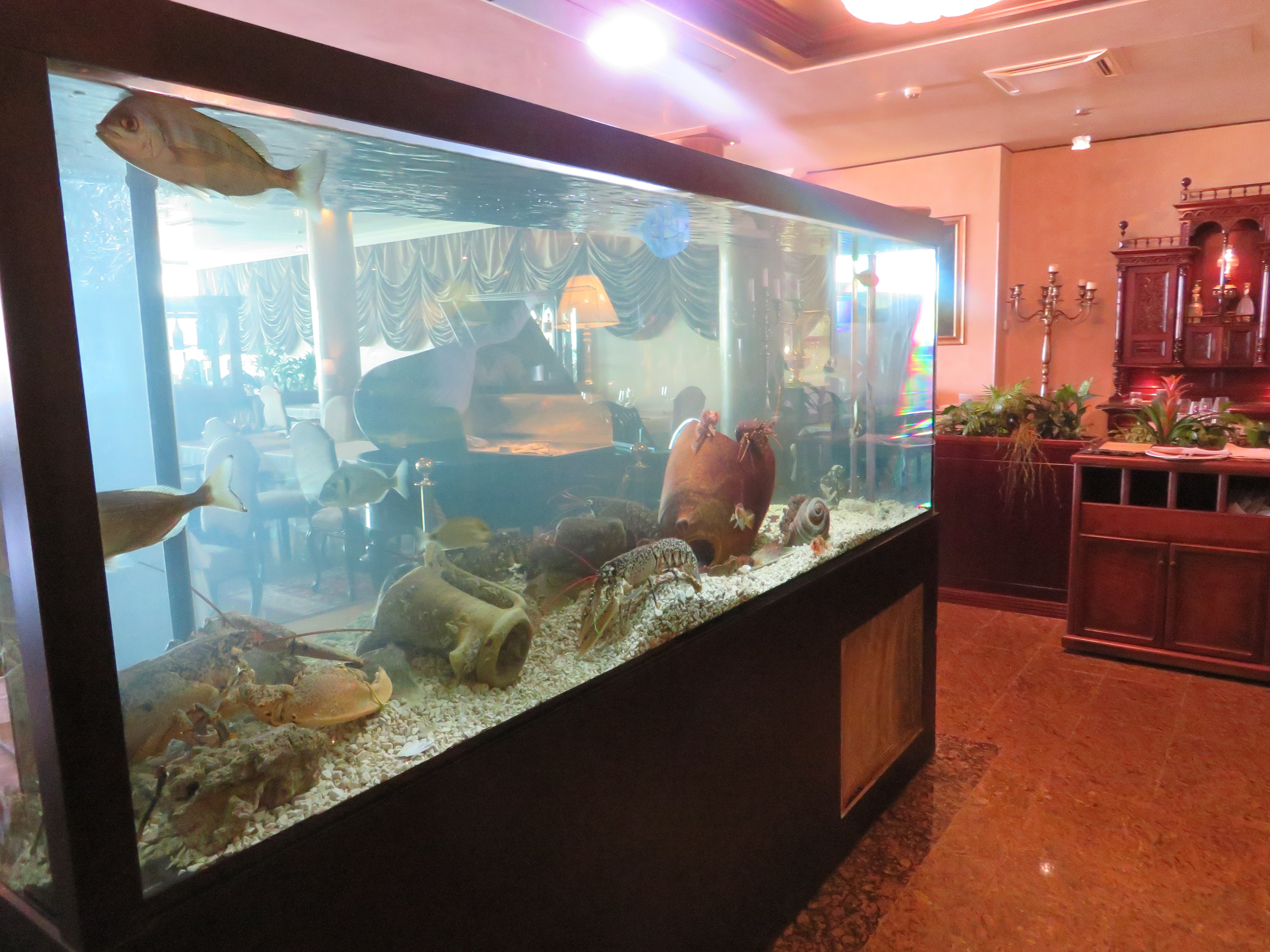 Hotel Niko-餐饮
