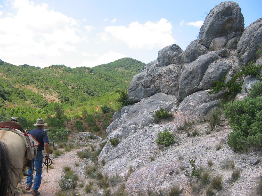 Ferme Equestre Le Plô-Montlaur必去景点