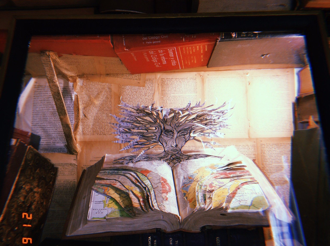 Plataforma Lavarden景点图片