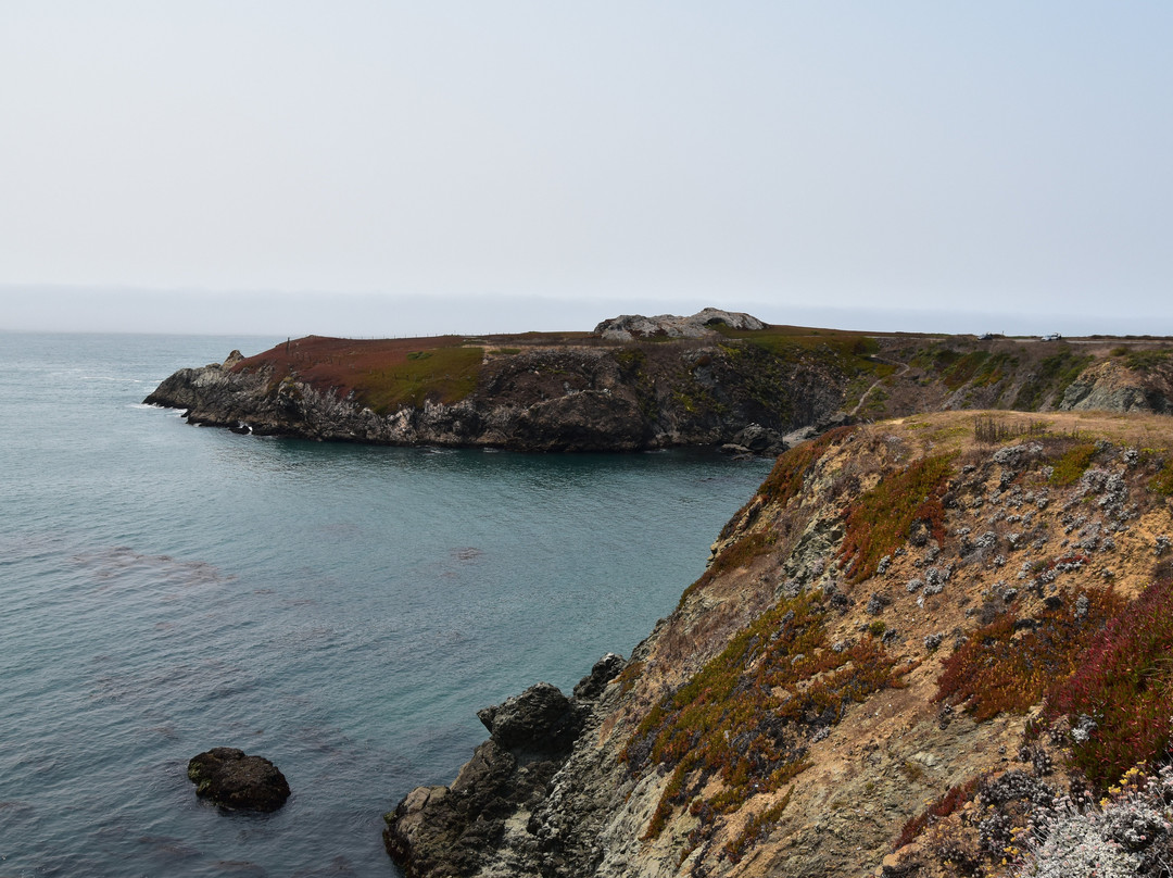 Sonoma Coast State Beach景点图片