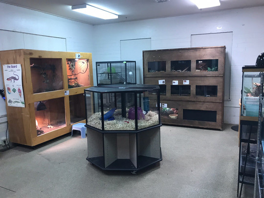 San Angelo Nature Center-圣安吉洛必去景点