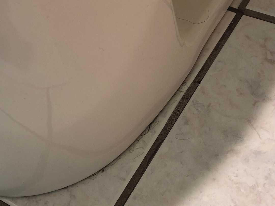 AmericInn by Wyndham des Moines Airport主图