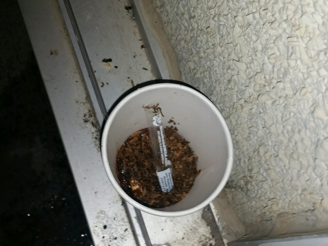 Historic Whispering Woods Hotel & Conference Center主图