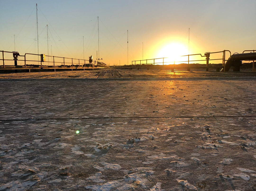 Navy Pier Exmouth-埃克斯茅斯必去景点