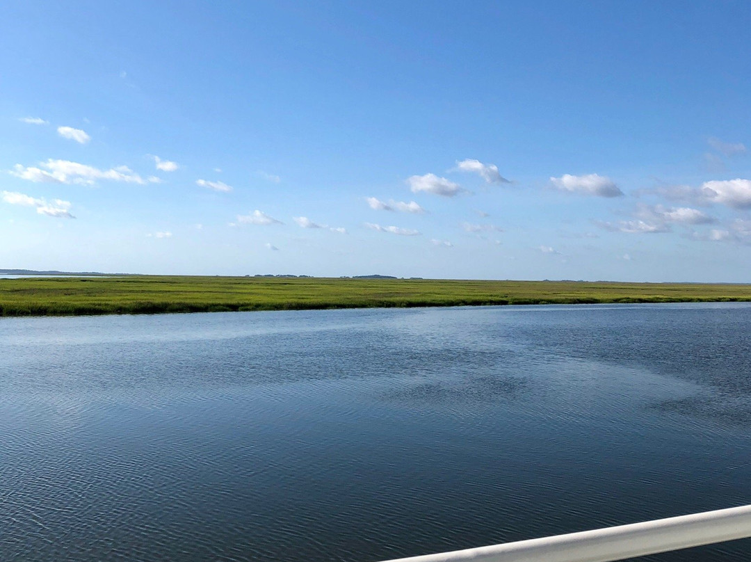 Sapelo Island National Estuarine Research Reserve-Sapelo Island必去景点