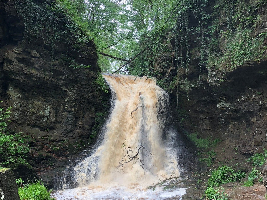 Hareshaw Linn Walk-Bellingham必去景点