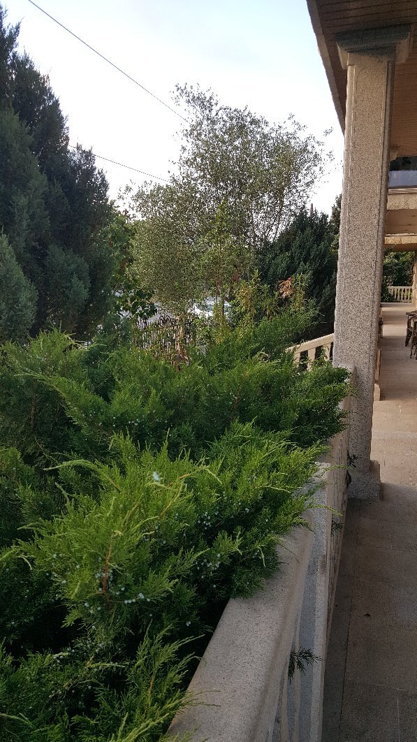 Pazo de Monterrei by Alda Hotels-官方