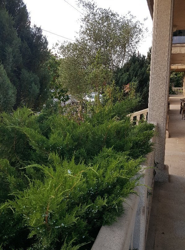 Pazo de Monterrei by Alda Hotels主图