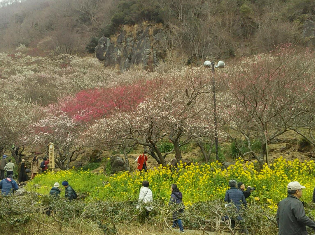 Yugawara Bairin-汤河原町必去景点