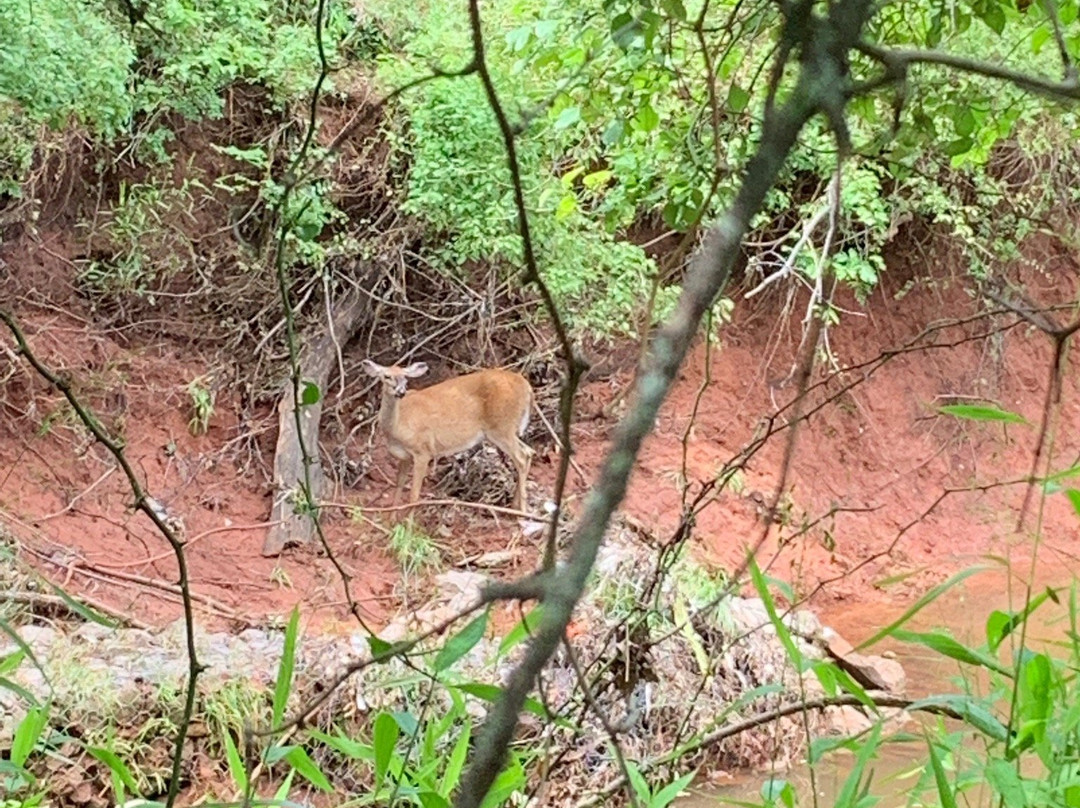 Martin Park Nature Center-俄克拉何马城必去景点