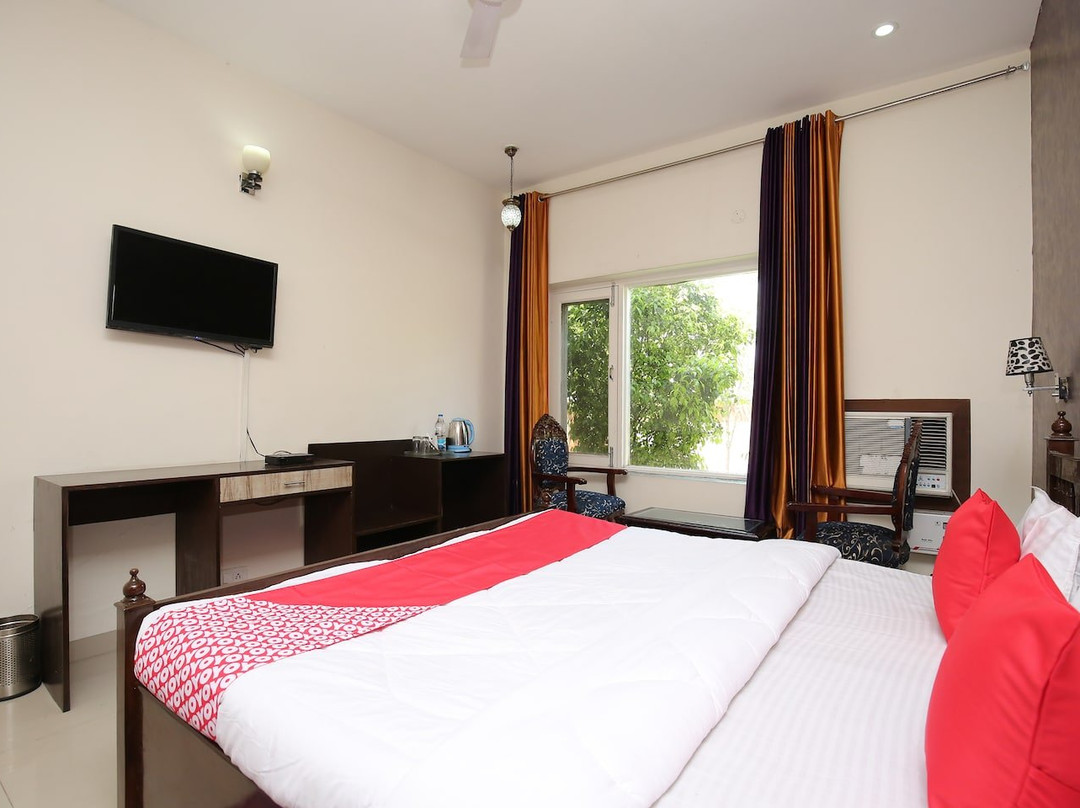 Treebo the Baghban主图