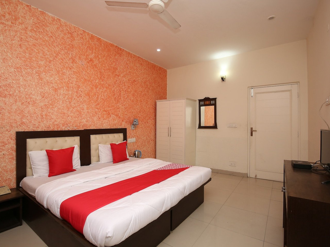 Treebo the Baghban主图