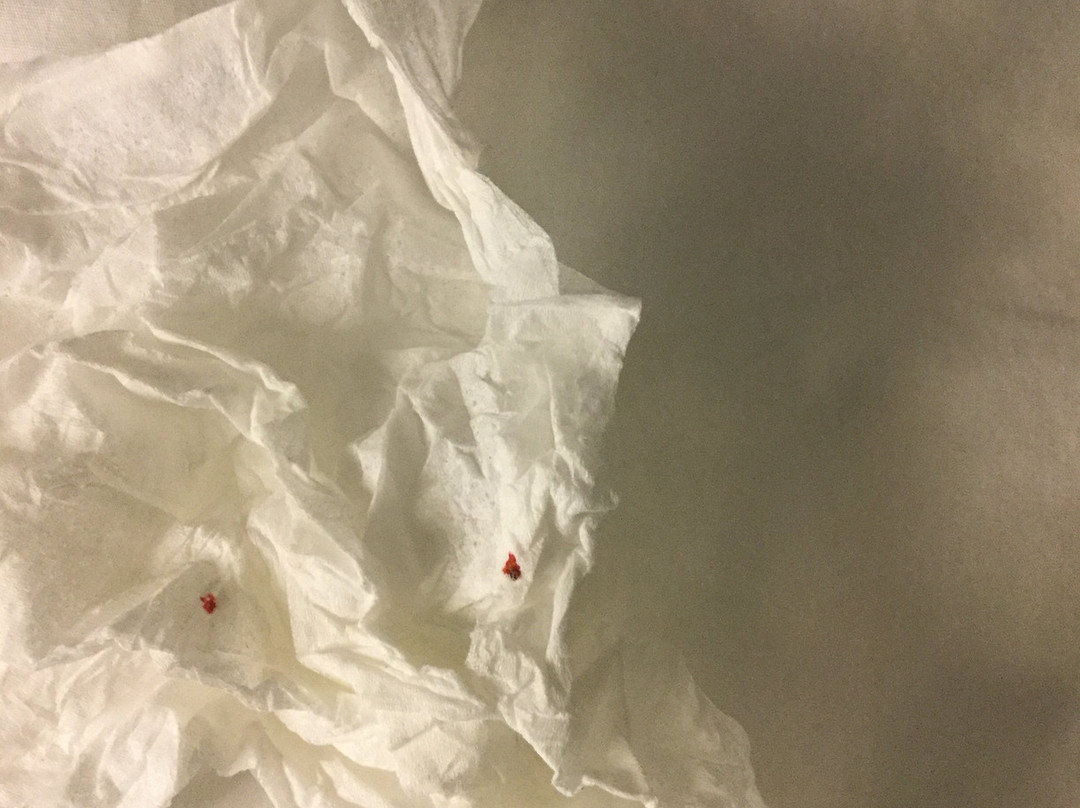 Wingate by Wyndham High Point/Greensboro主图