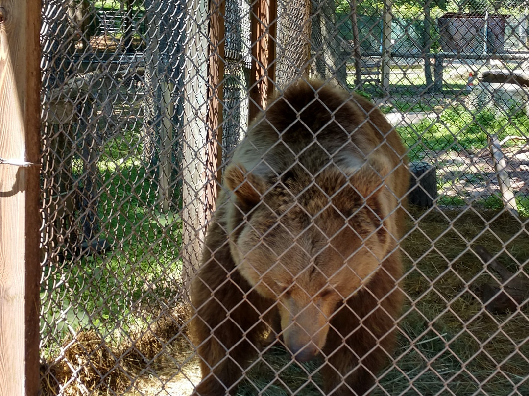 Bailiwick Animal Park-Catskill必去景点