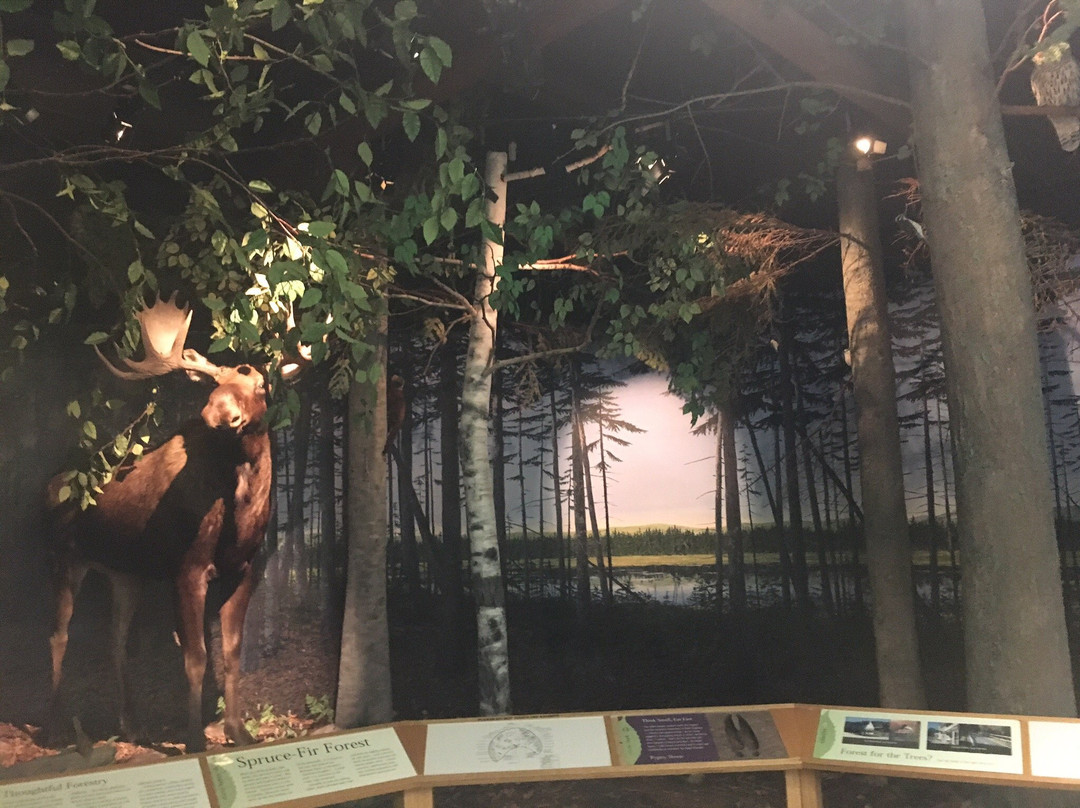 Turner Falls-Turners Falls必去景点