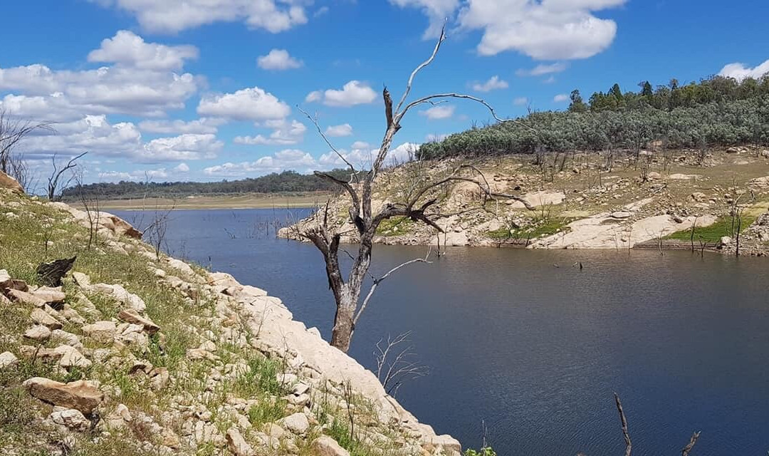 Copeton Dam景点图片