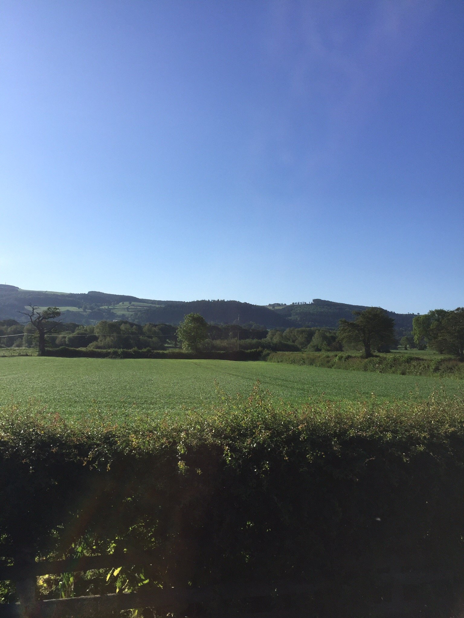 Severn Farm B&B-官方
