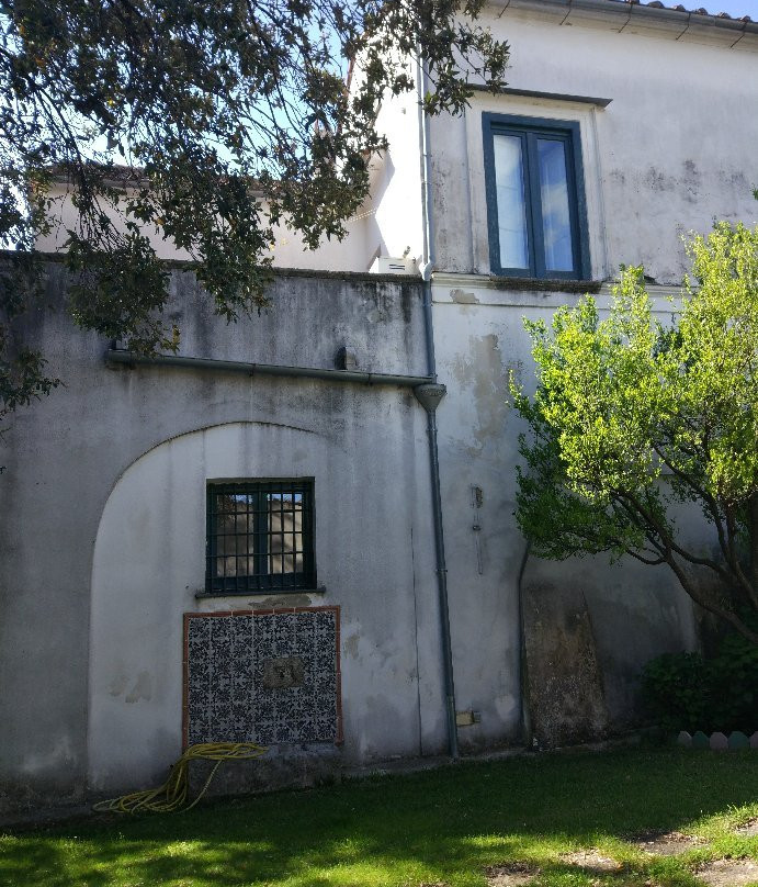 Villa Mimosa主图