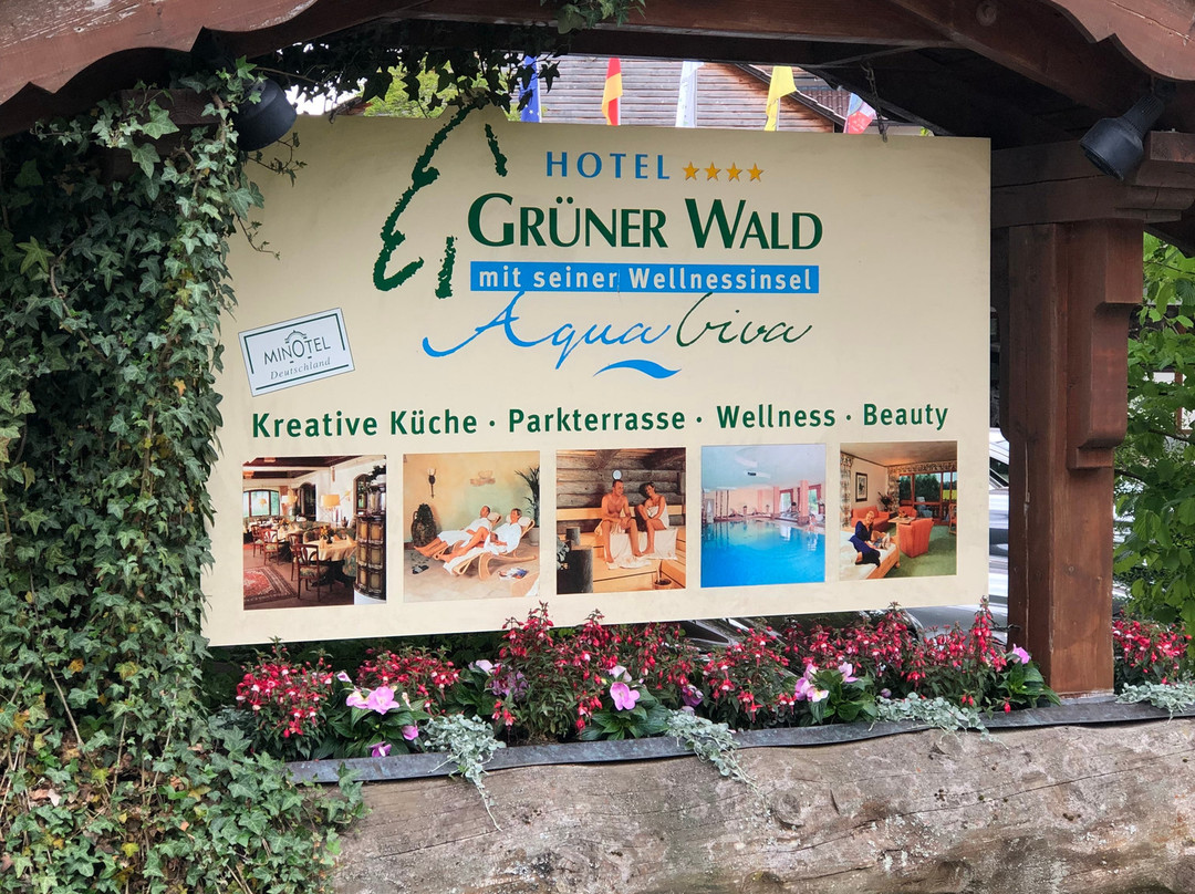 Hotel Grüner Wald主图