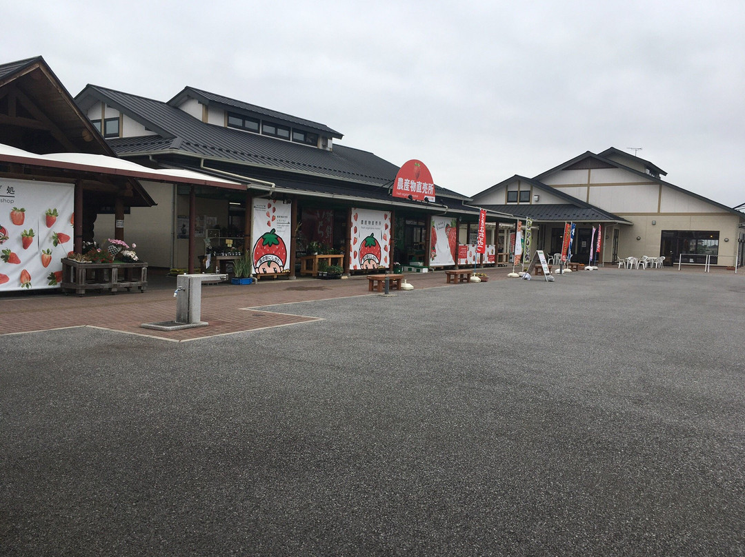 Michi No Eki Nishikata-栃木市必去景点