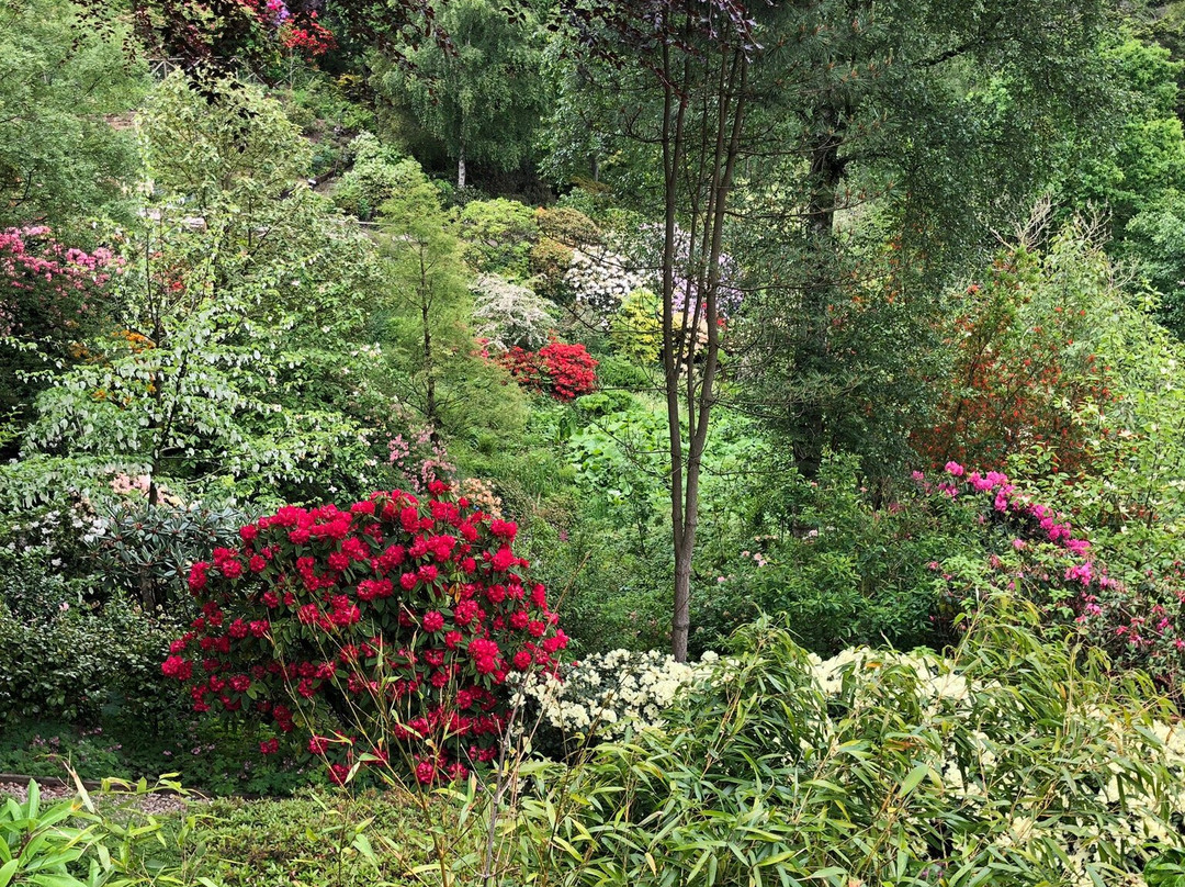 Himalayan Garden & Sculpture Park景点图片