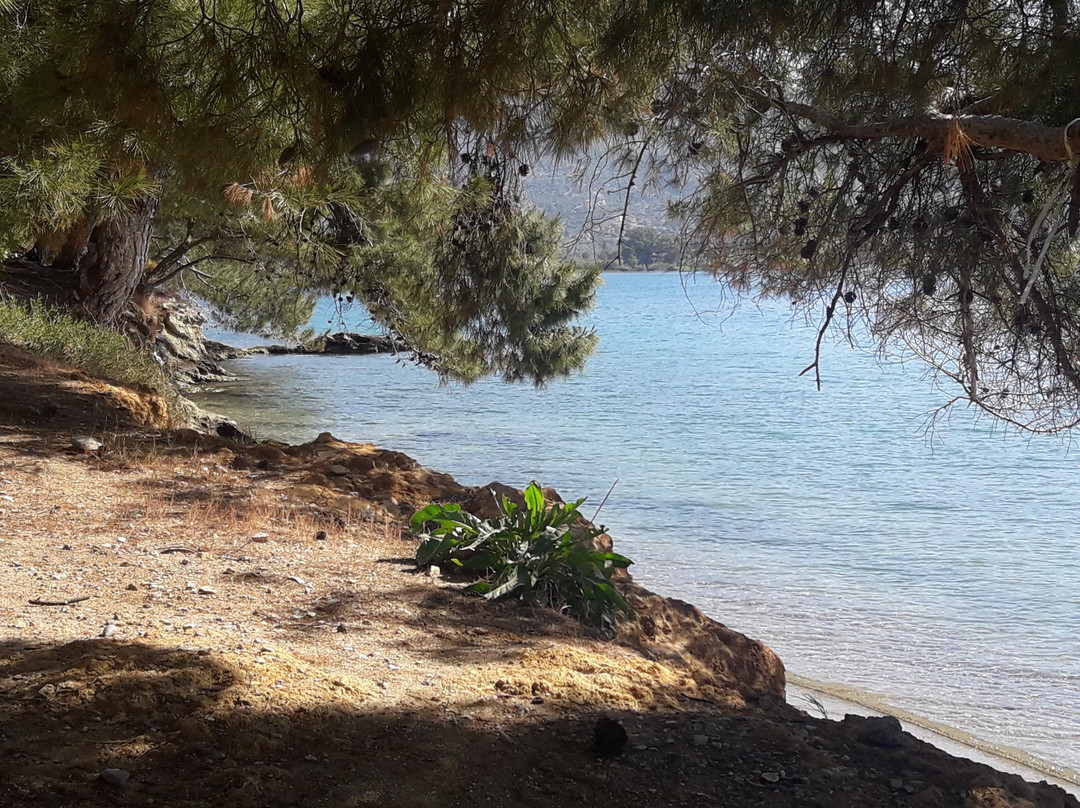 Xenia Poros Image Hotel主图