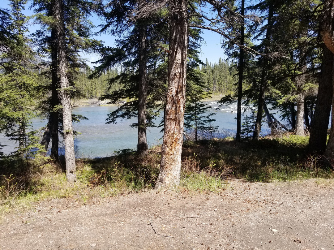 Bow Valley Provincial Park-卡那那斯基斯必去景点