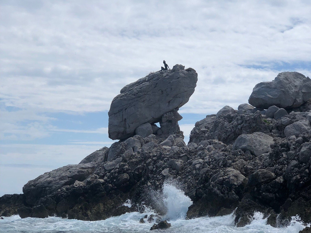 Capri Whales di Wendy景点图片