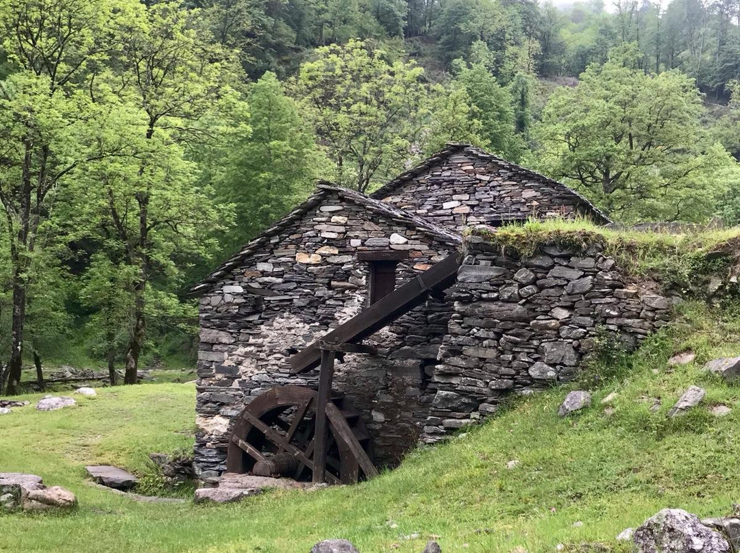 Azienda Agrituristica Kedo主图