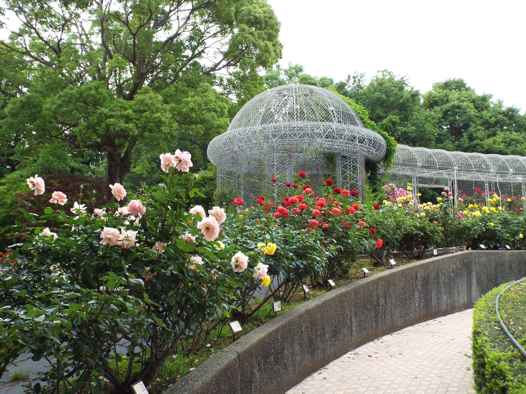 Odawara Flower Garden景点图片