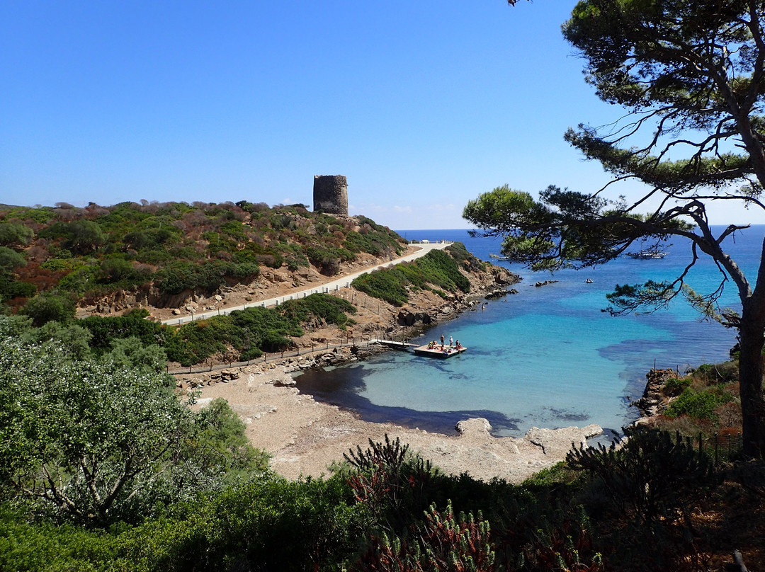 Escursioni Alghero Asinara景点图片