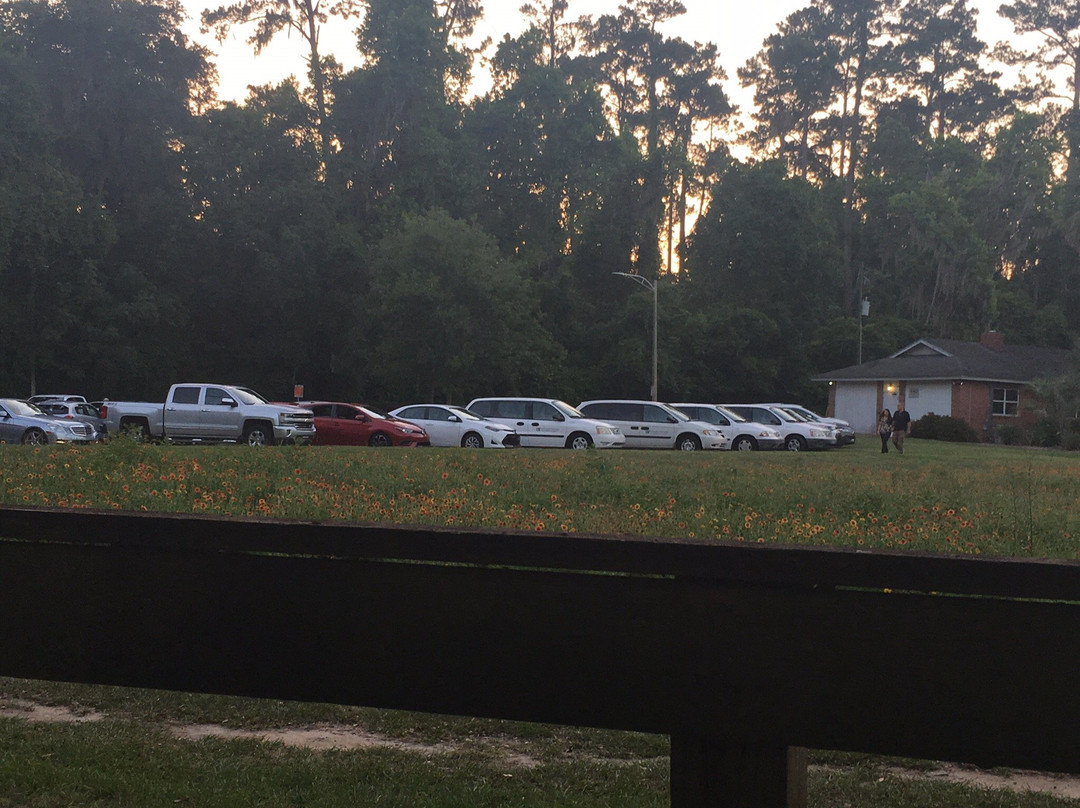 University of Florida Bat House-盖恩斯维尔必去景点