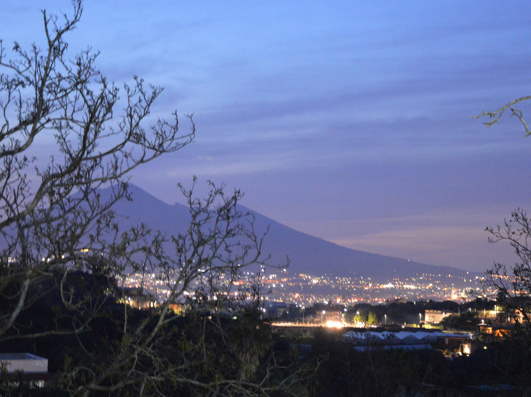 Capriccio Di Pasta Residence主图