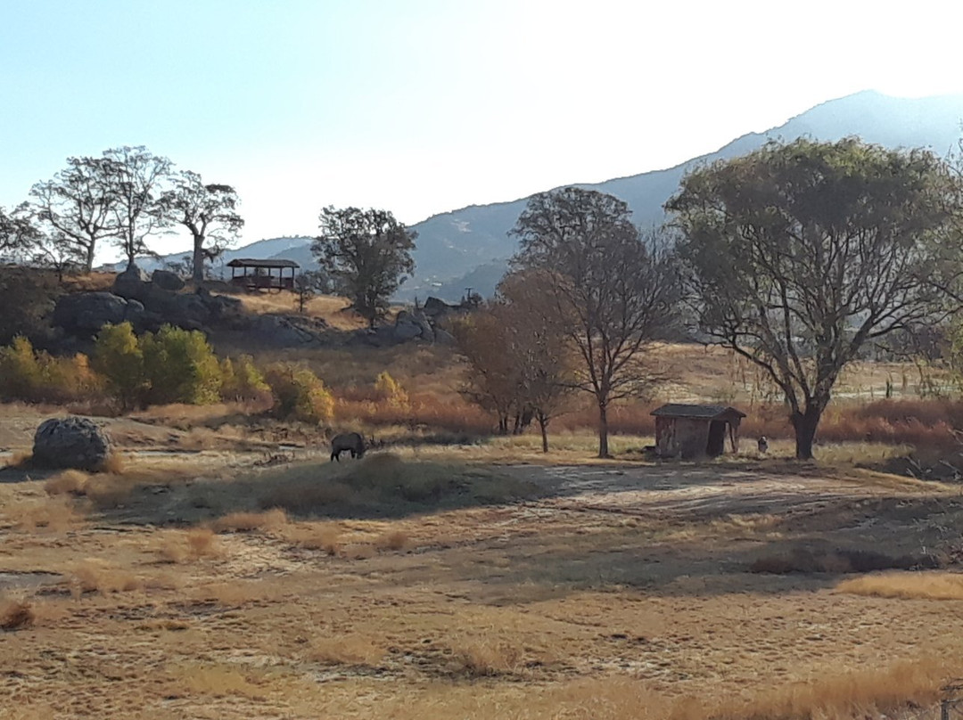 Stallion Springs Resort主图