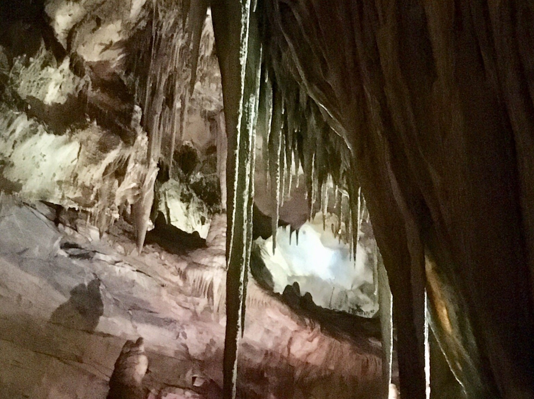 Lehman Caves Visitor Center景点图片