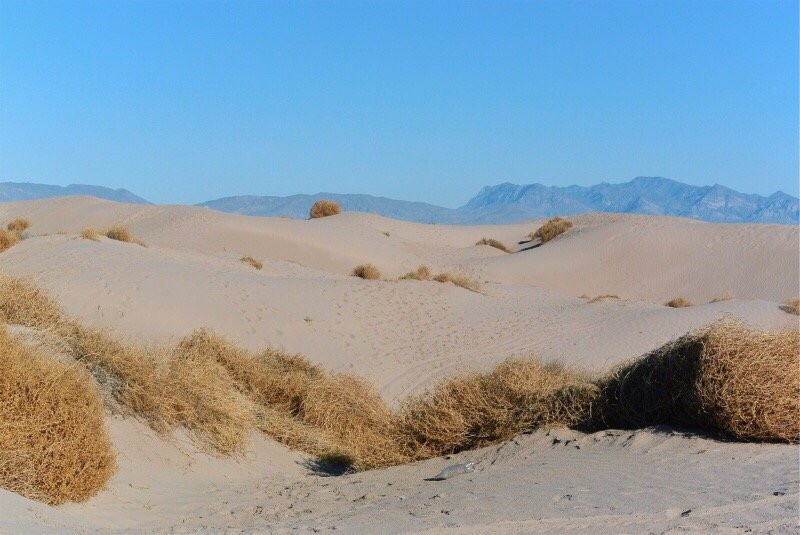 Dunas de Bilbao-Viesca必去景点