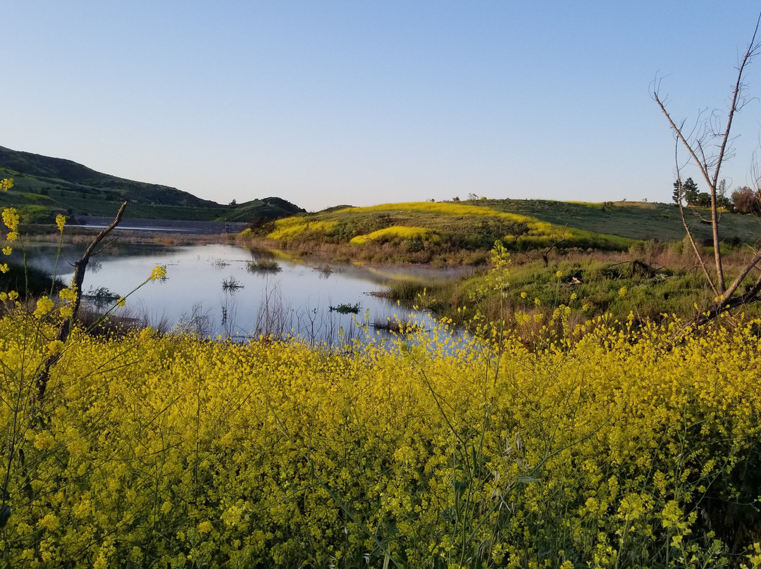 Peters Canyon Regional Park-橘子郡必去景点