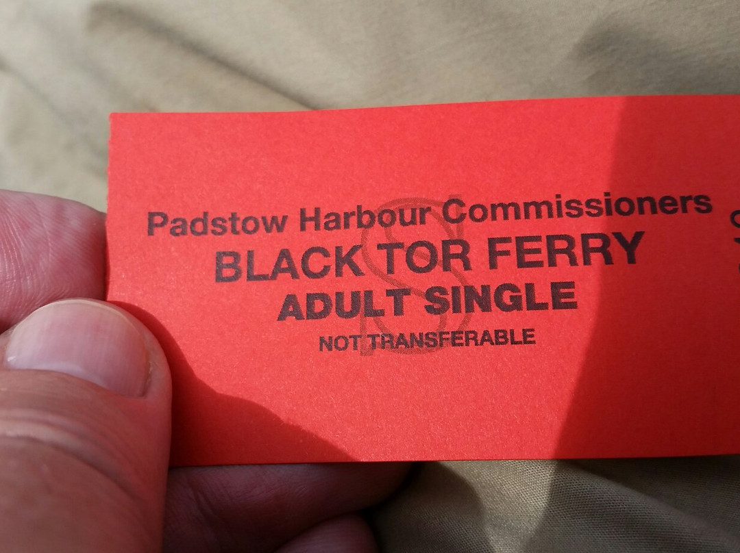 Padstow-Rock ferry景点图片
