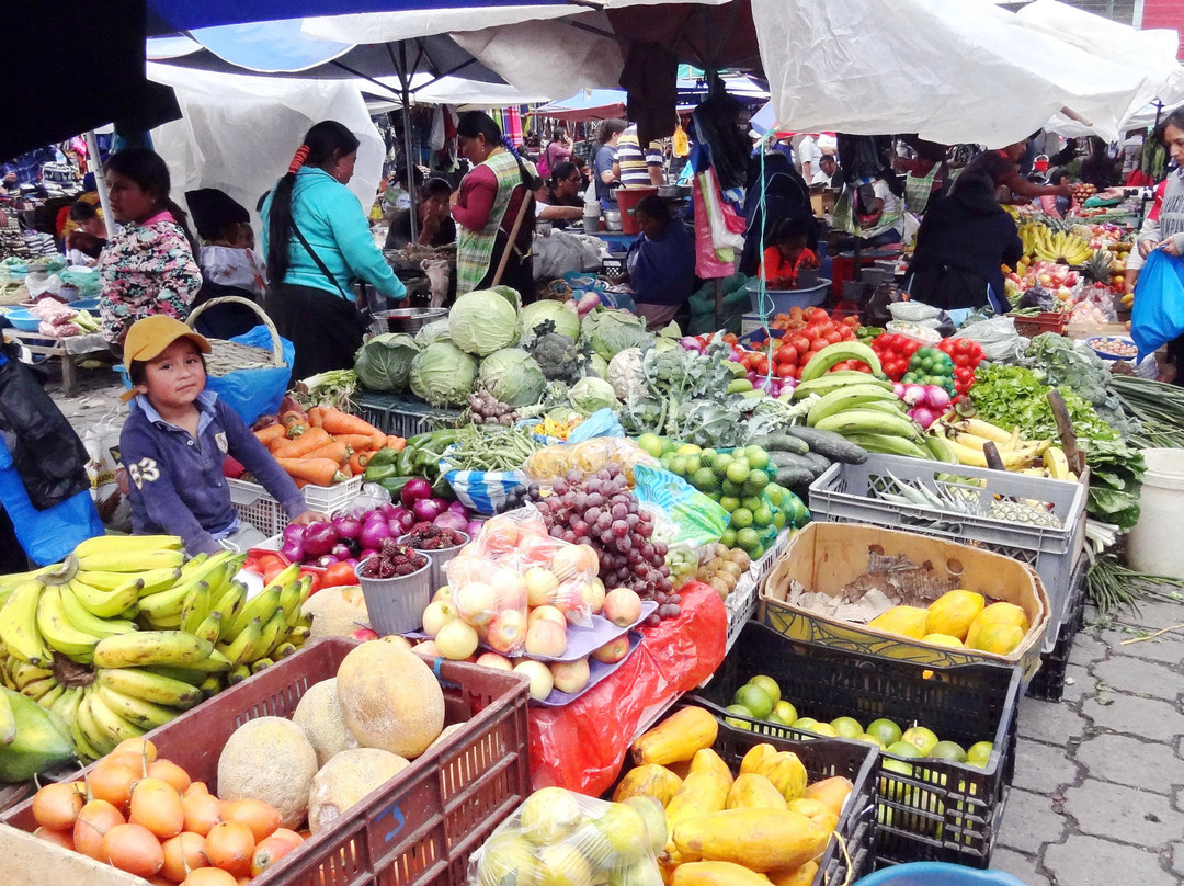 Mercado 24 de Mayo-奥塔瓦洛必去景点