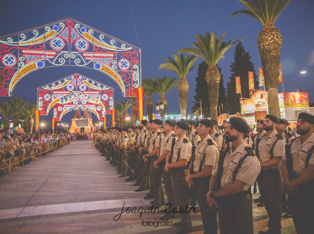 Paseo de las Palmeras景点图片