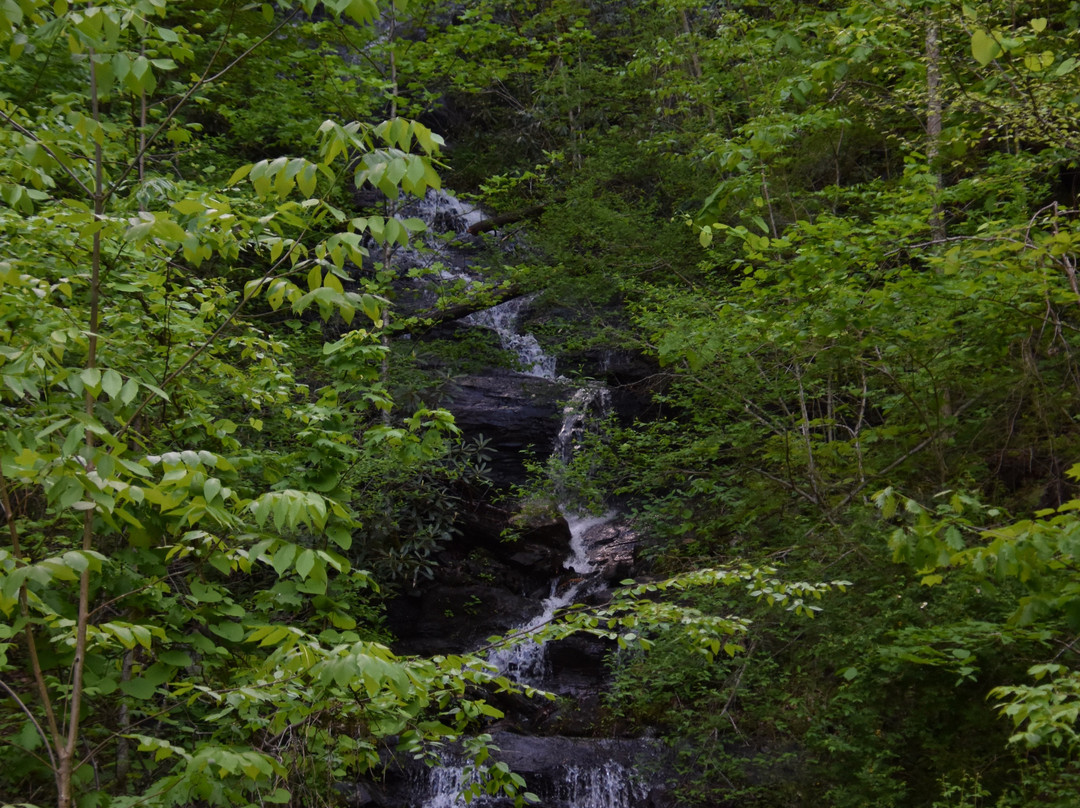 Log Hollow Falls景点图片