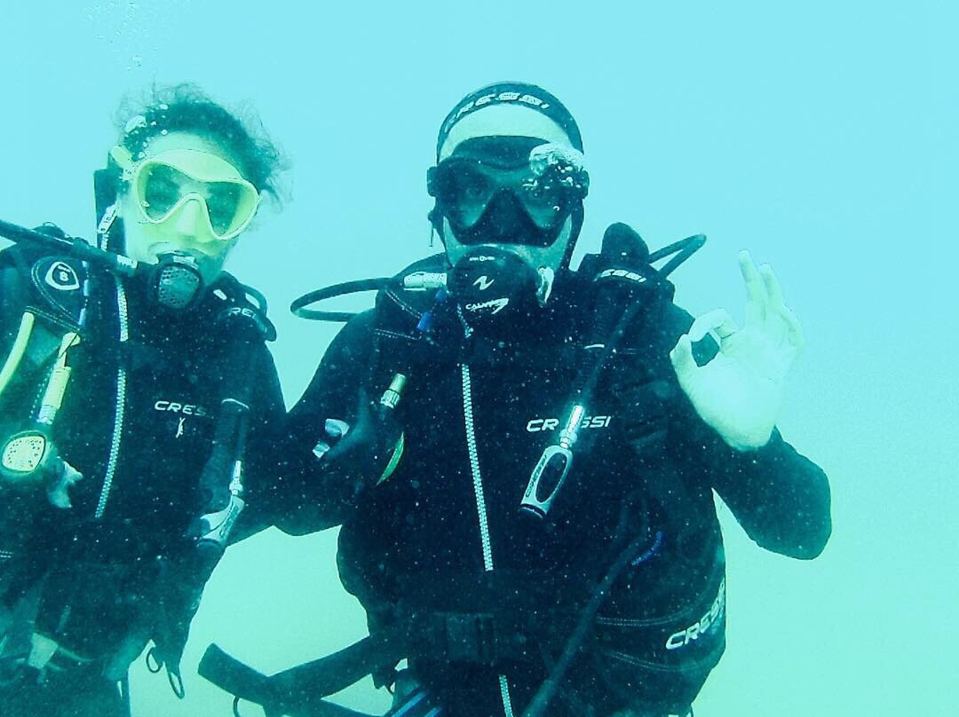 Divepoint景点图片